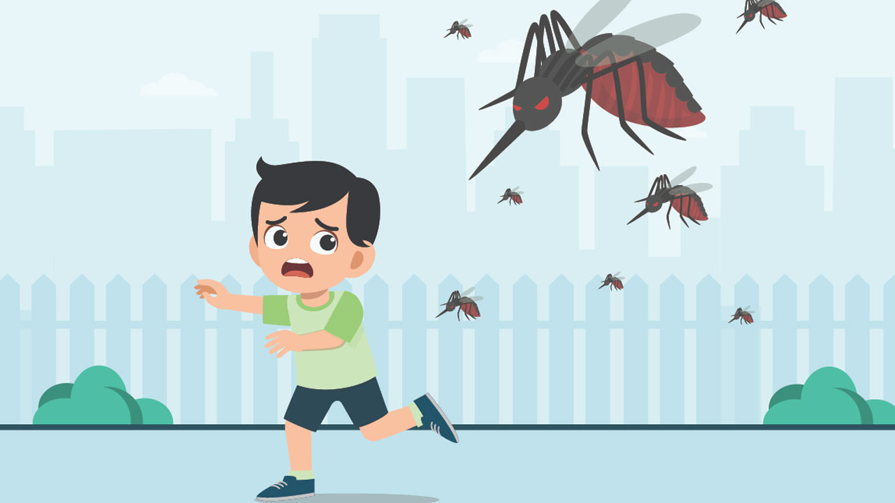 ৭০ হাজার ছাড়াল ডেঙ্গু আক্রান্তের সংখ্যা