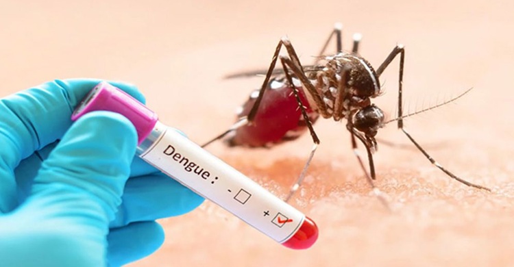 আরও ৫ জনের মৃত্যু, হাসপাতালে ভর্তি ৬৩৬