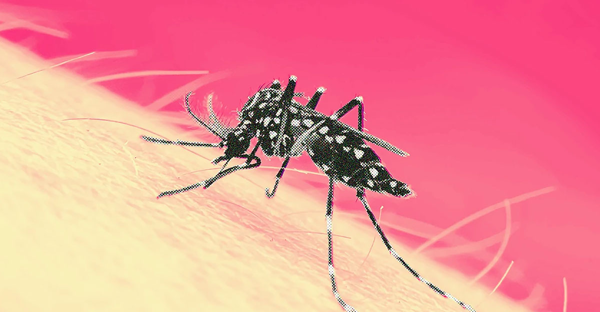 ডেঙ্গুতে প্রাণ গেল ৫ জনের মৃত্যু, হাসপাতালে ভর্তি ১১৩৯