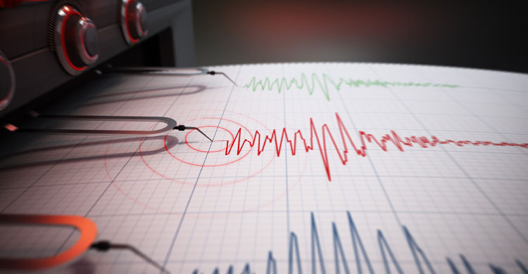 ভূমিকম্পে কাঁপল পাকিস্তান