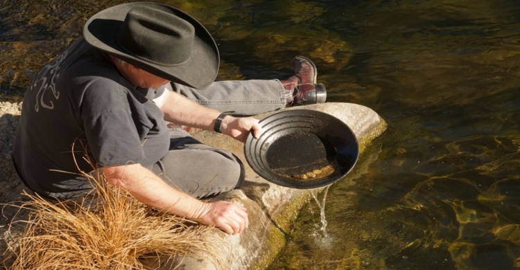 ক্যালিফোর্নিয়ার পাহাড়ে আবারও 'স্বর্ণ জ্বর'