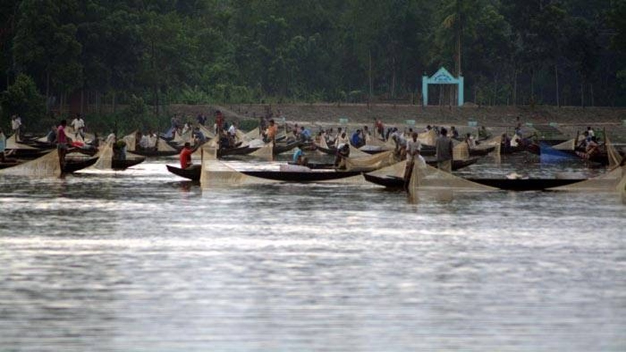 হালদা নদীকে 'মৎস্য হেরিটেজ' ঘোষণা, ধরা যাবে না মাছ