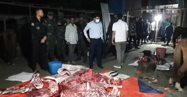 রাতের আধারে আবারও শুরু হয়েছে ঘোড়ার মাংস বিক্রি