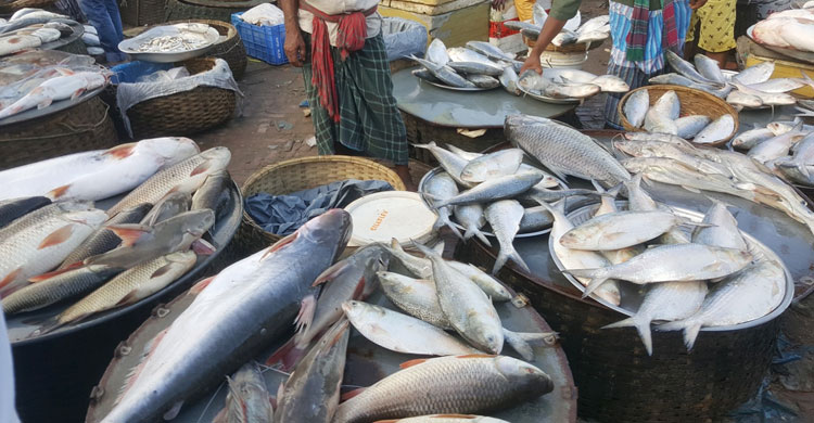 বাড়তি মাছের দাম, স্বস্তি মুরগি-ডিমে