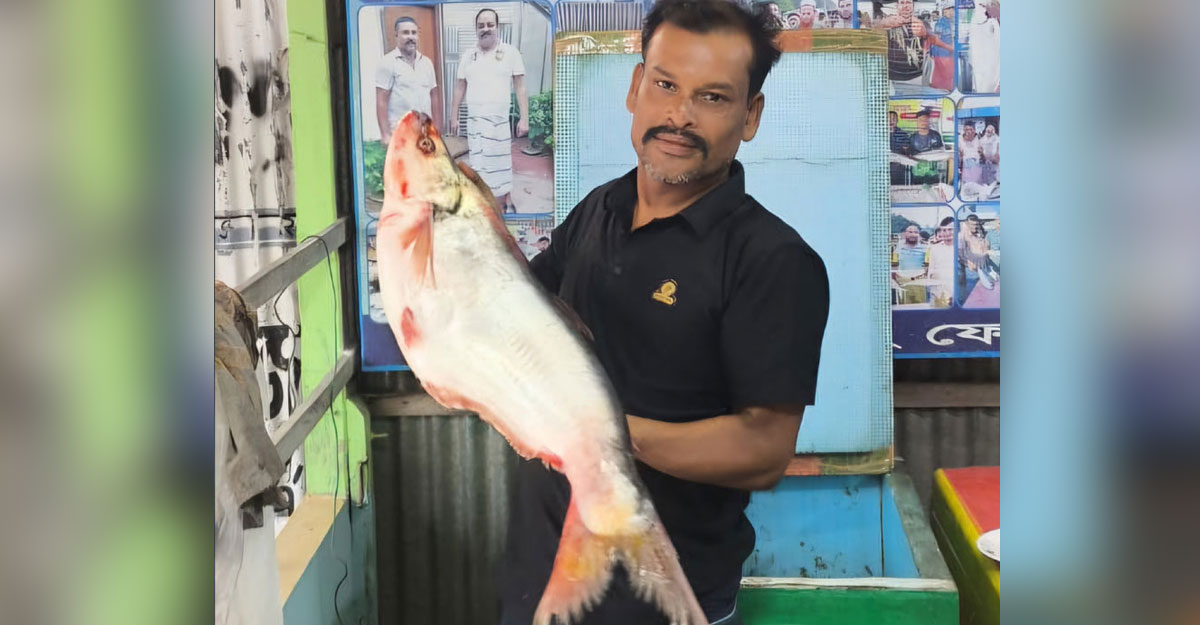 পদ্মার বিলুপ্তপ্রায় ঢাই ২৯ হাজারে বিক্রি