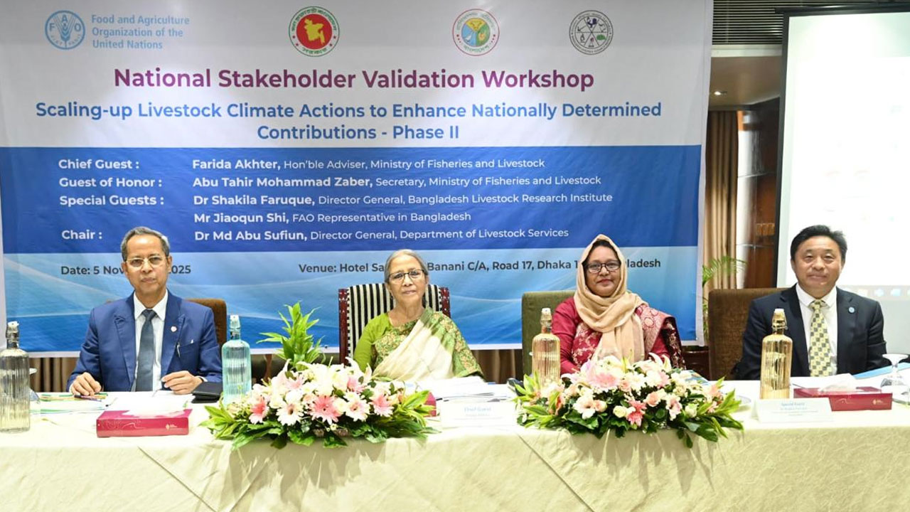 দেশীয় গরুর উৎপাদন বাড়ানোর পদ্ধতি জানালেন উপদেষ্টা