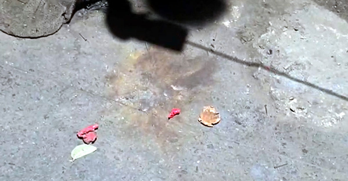 ঢাকা বিশ্ববিদ্যালয়ে ককটেল বিস্ফোরণ