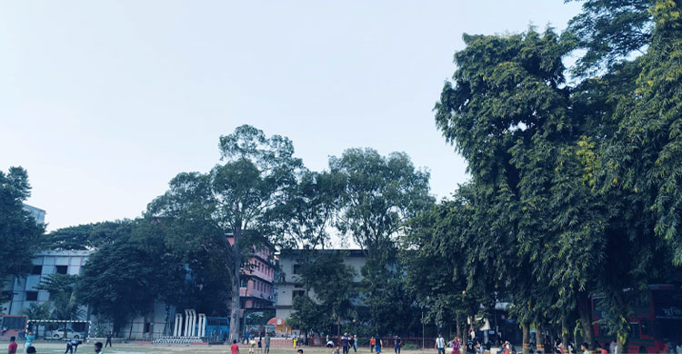 শীতের আগমনী বার্তায় তিতুমীর কলেজে হিমেল ছোঁয়া