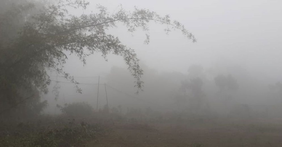 শীতে কাঁপছে পঞ্চগড়, তাপমাত্রা নামলো ১২ ডিগ্রিতে