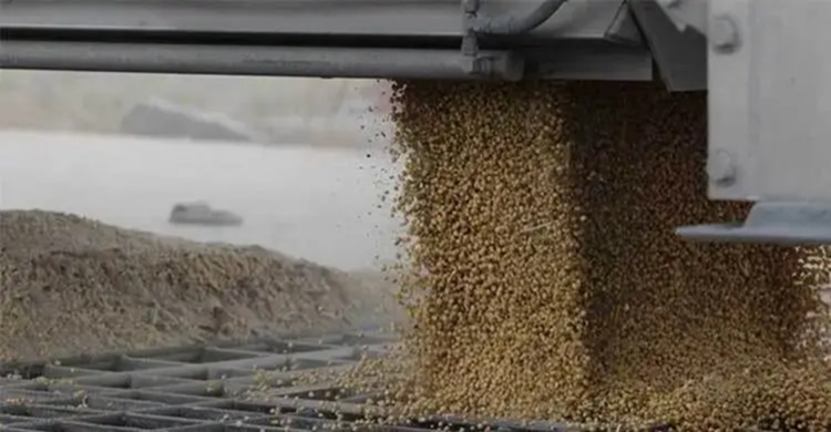 যুক্তরাষ্ট্র থেকে ১ বিলিয়ন ডলারের সয়াবিন কেনার ঘোষণা