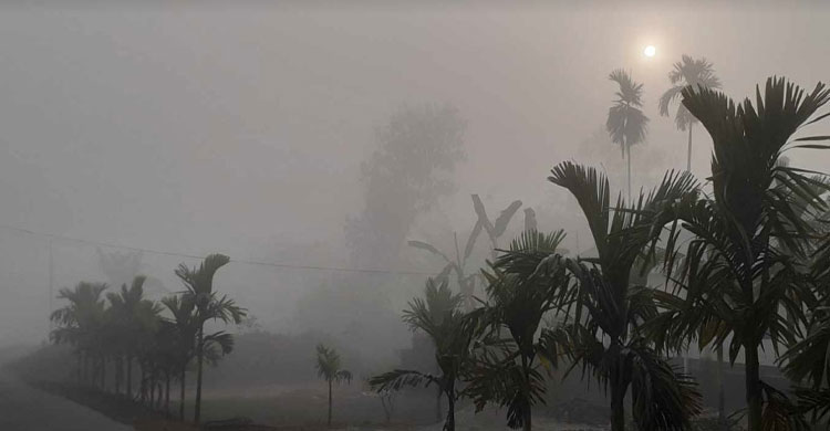 শীত নিয়ে যে বার্তা দিল আবহাওয়া অধিদপ্তর