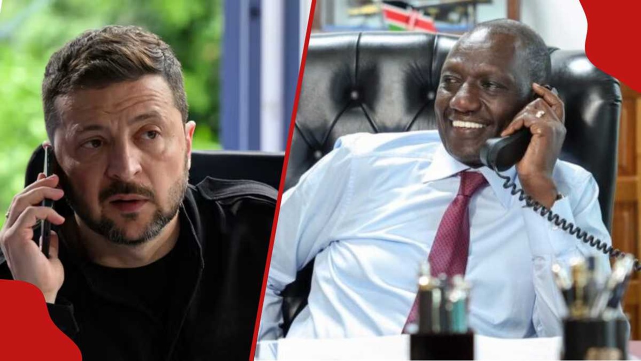 রুটোর সঙ্গে বৈঠকে কী কথা হলো জেলেনস্কির?