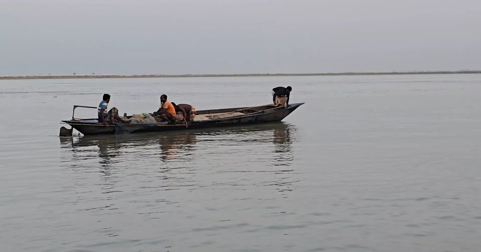 ফরিদপুর ও রাজবাড়ীর অনেক জেলে পদ্মায় মাছ শিকার করছেন নিয়মিত