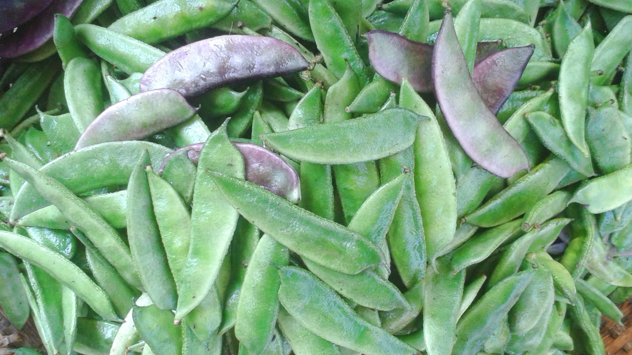 শিম খাওয়ার উপকারিতা