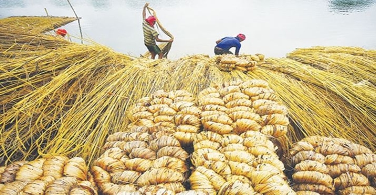 ২৯৮৪ টন পাট রফতানির অনুমতি পেল ১২ প্রতিষ্ঠান