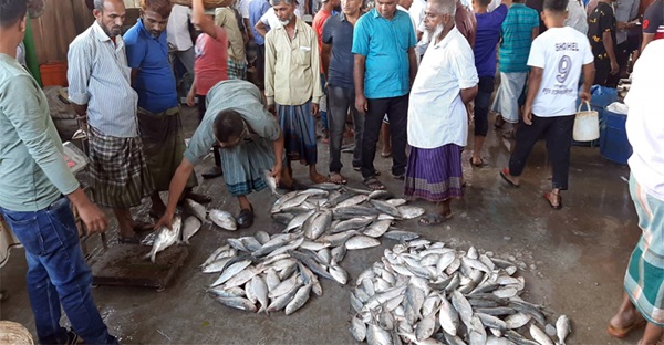 মা ইলিশ রক্ষায় এবার মেঘনায় ড্রোন বসিয়ে পাহারা