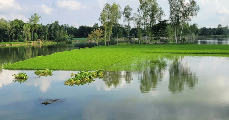 লালমনিরহাট, কুড়িগ্রামে বন্যা পরিস্থিতির অবনতি, পানিবন্দি লাখো মানুষ
