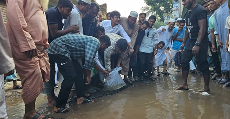সড়কে মাছ ছেড়ে প্রতিবাদ হাসনাত আবদুল্লাহর