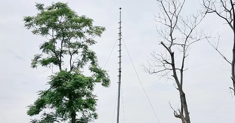 বজ্রপাতে মানুষ মরে হাওরে, যন্ত্র বসেছে সাবেক এমপির বাড়ির সামনে