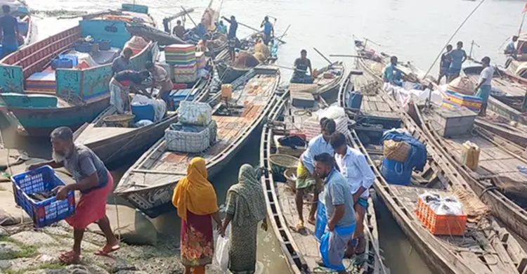 নিষেধাজ্ঞা শেষ হওয়ায় আবারও নদীতে নেমেছেন চাঁদপুরের জেলেরা