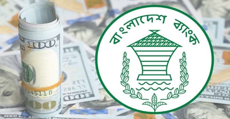 দেশের রিজার্ভ বেড়ে ৩১.৪৩ বিলিয়ন ডলার