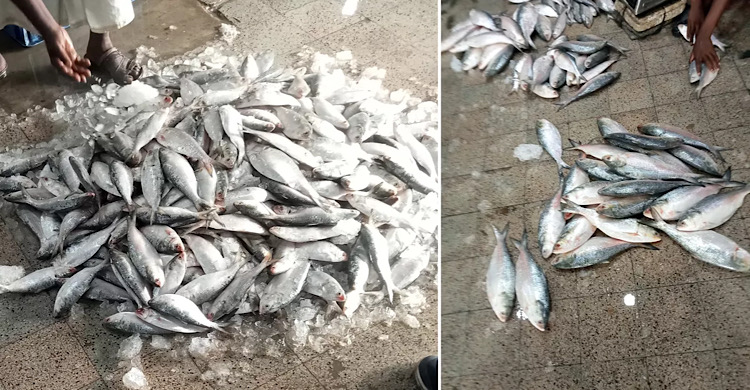 ভরা মৌসুমেও খুলনায় ধরাছোঁয়ার বাইরে ইলিশের দাম